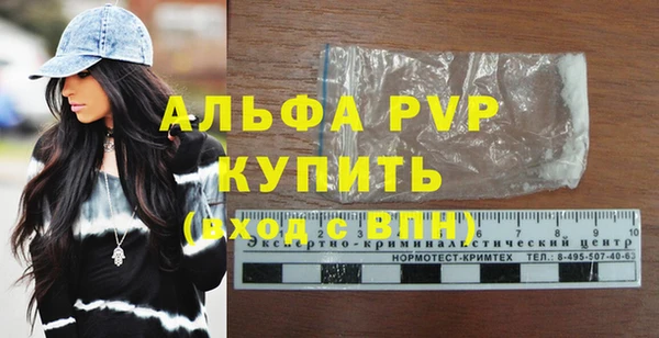мдпв Рославль