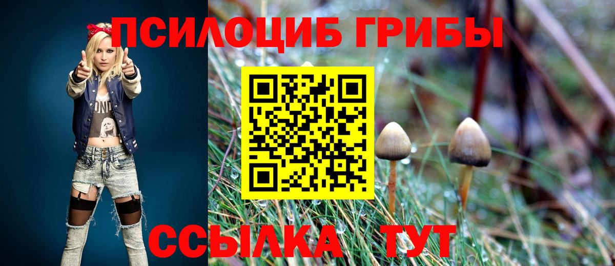 Галлюциногенные грибы прущие грибы  Вход с VPN  Калач-на-Дону 